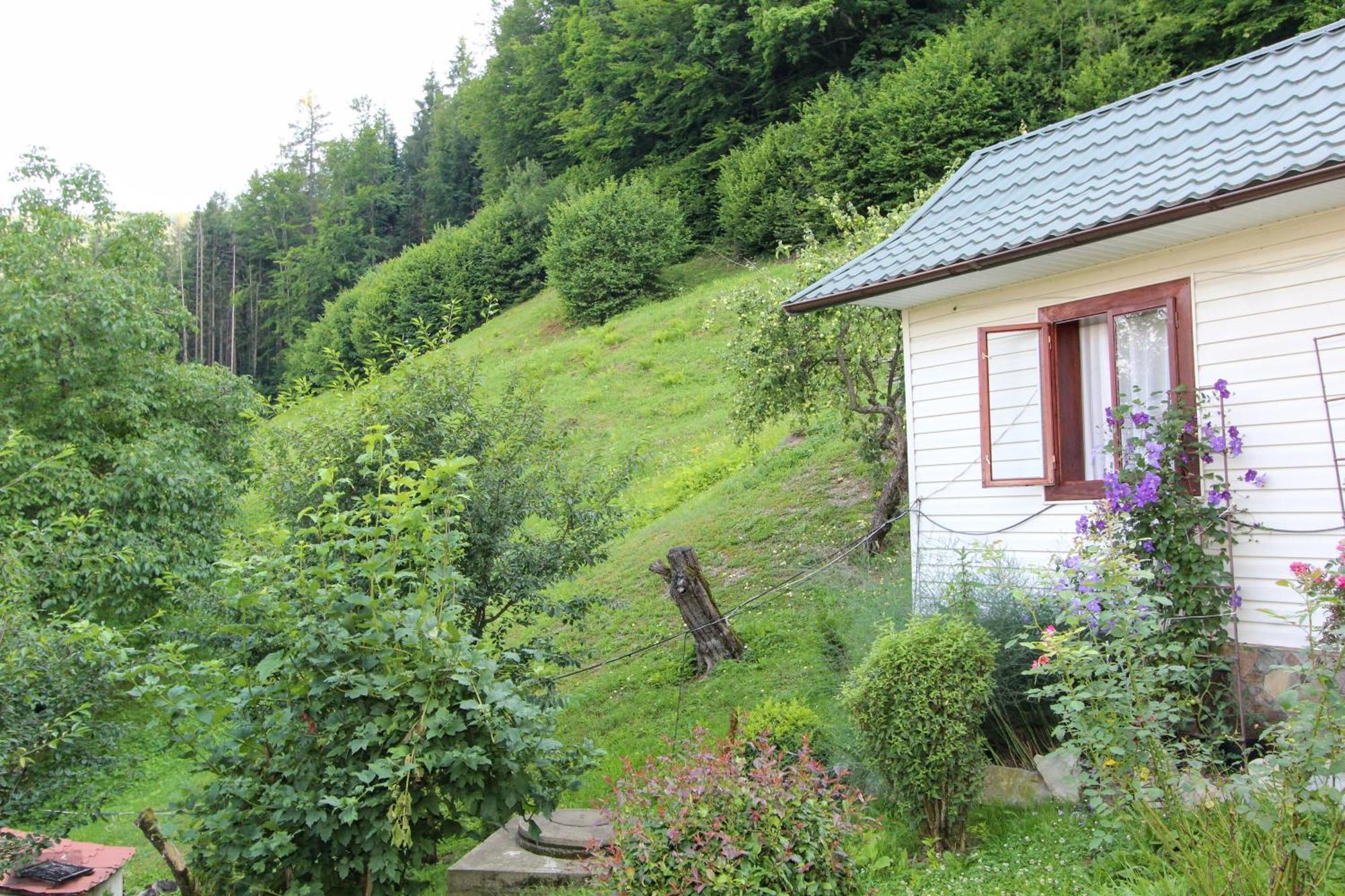 Котедж "Красний Краєвид" Yaremche Eksteriør billede